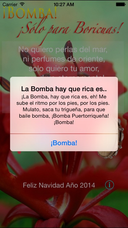 ¡Bombas Navideñas!