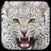 Wild Snow Leopard Simulator 3D – Big Cat Hunting & Chasing Wildlife Animals on Mountains