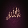 صور اسلامية - iPadアプリ