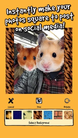 hamstergram - make people hamsters instantly and more!のおすすめ画像5