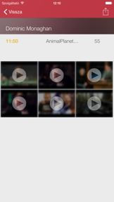Magyar Televízióadás Ingyen Guide screenshot