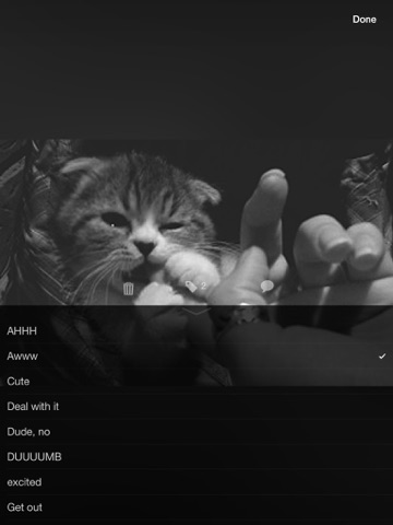 Screenshot #6 pour Gif Stash – Organize, View & Send Animated Gifs