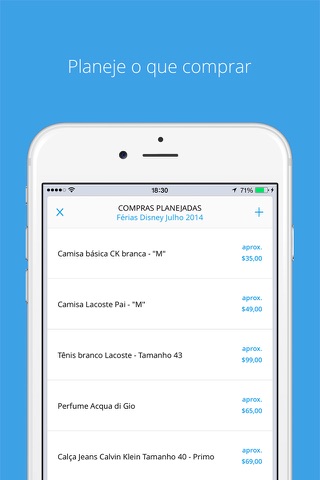 Flesy - Shopping lists & expenditure control screenshot 2