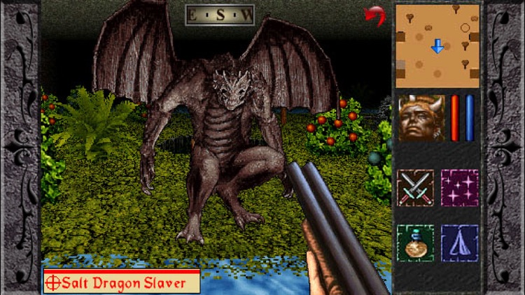 The Quest Classic - Elemental Asteroids