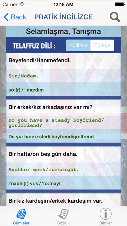 Pratik İngilizce - İngilizce Sözlük, İngilizce Öğren, Kelime Ezberle, Çeviri ve Tercüman screenshot-3