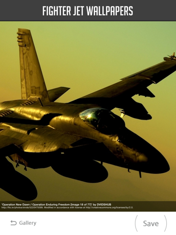 Screenshot #5 pour Fighter Jet Wallpaper