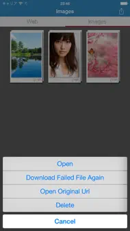 Awesome Web Image Collector Lite iphone bilder 3