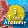 i Touch Anatomy