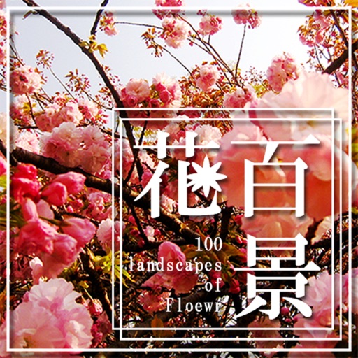 Landscapes of the flower