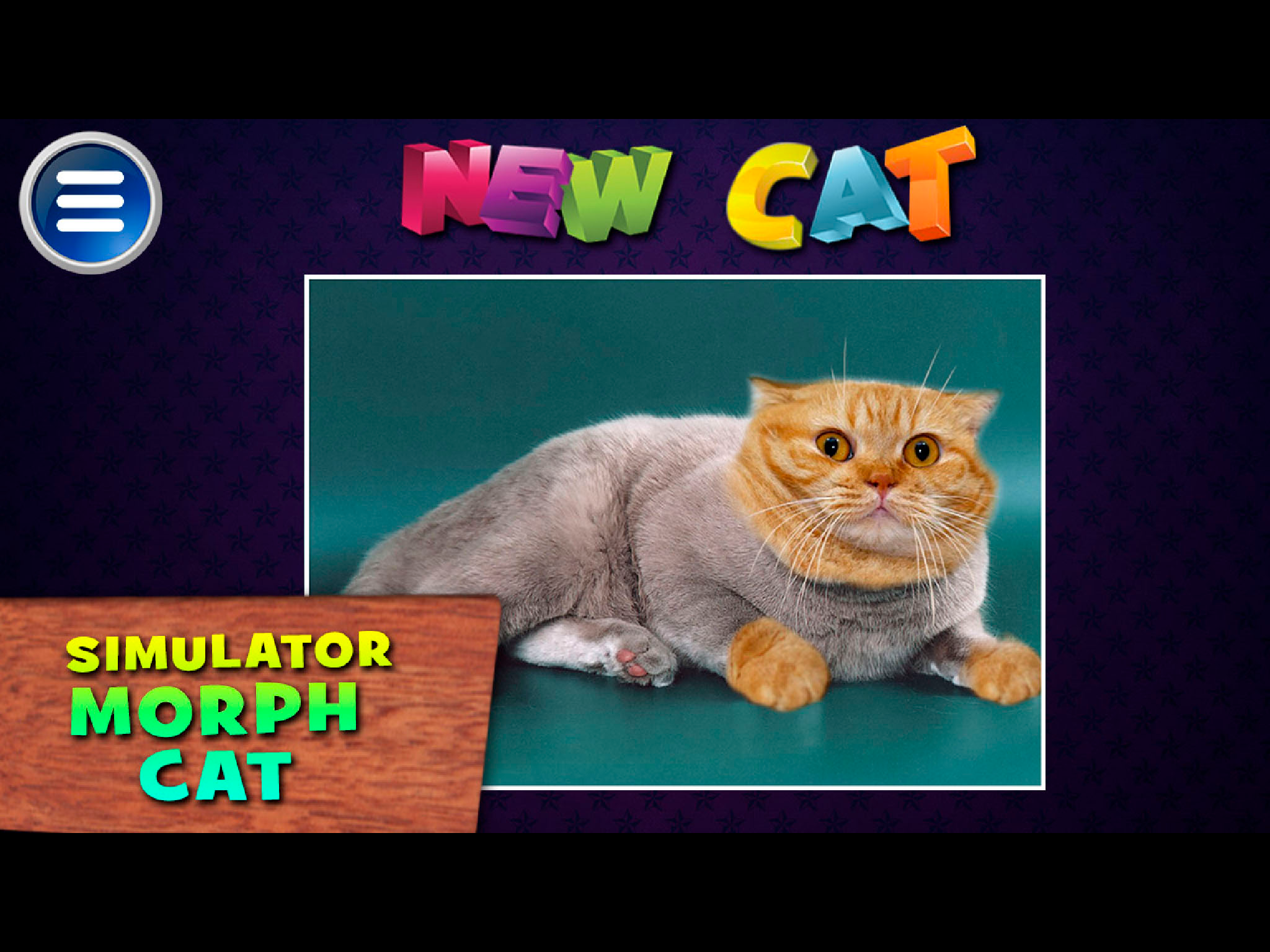 Simulator Morph Cat screenshot 5