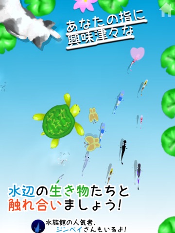 Screenshot #4 pour やさしくタッチ！めだかヌダカ