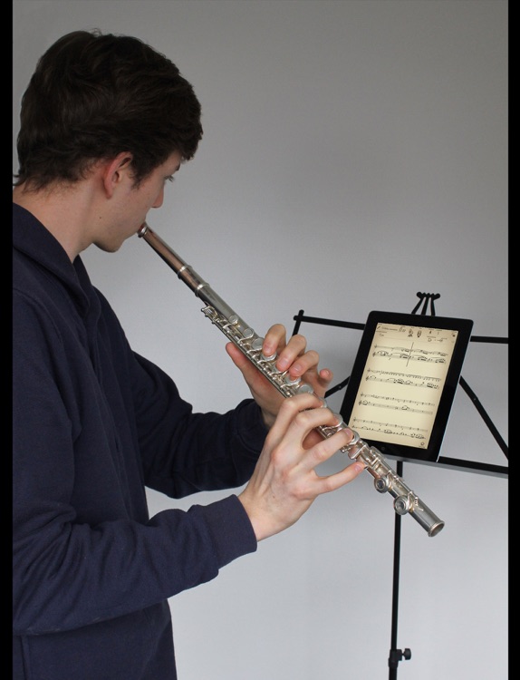 Play Mozart – Concerto for Flute and Harp K299 (interactive sheet music)