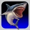 Shark Attack HD