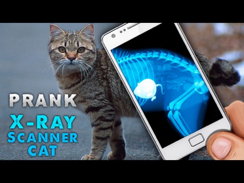 Screenshot #4 pour Simulator X-Ray Cat