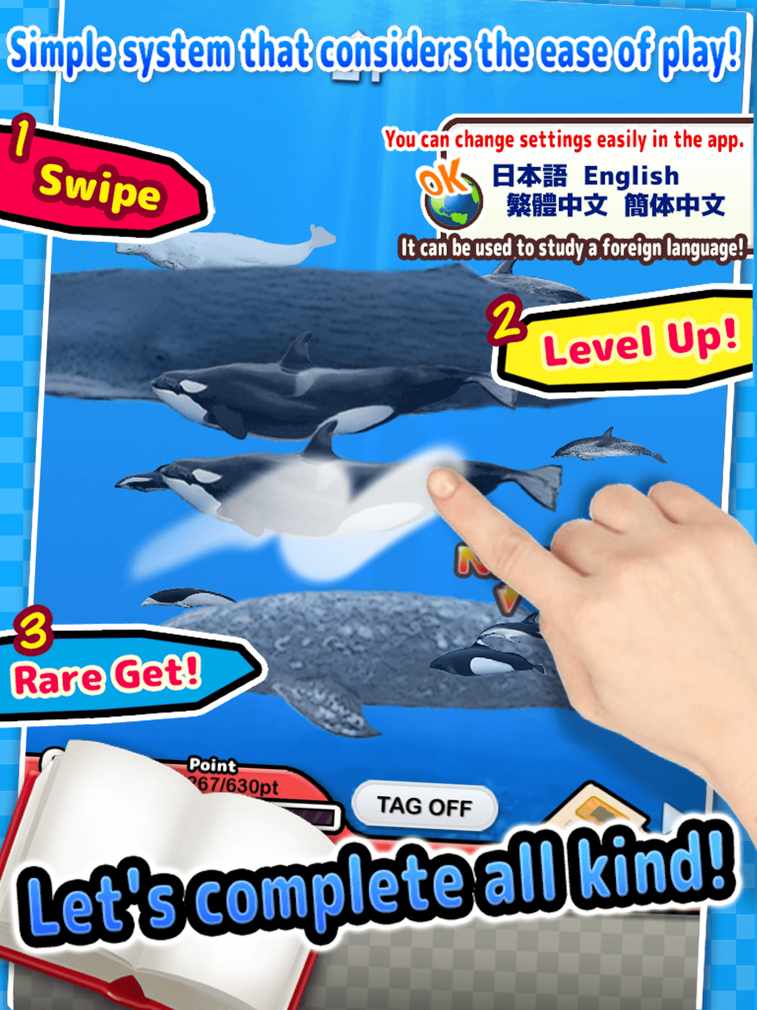 Whales & Dolphins of the World -Simple Pictorial Book Kids Game -