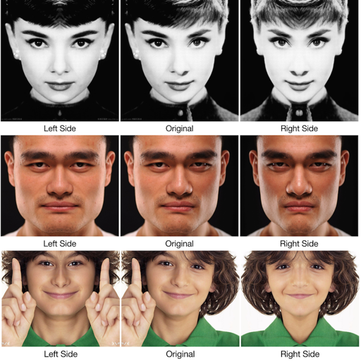 Face Reflection - Fun Photo Editor Also A Face Symmetry Revealer