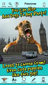 puppygram - turn friends into puppy dogs instantly and more! айфон картинки 3