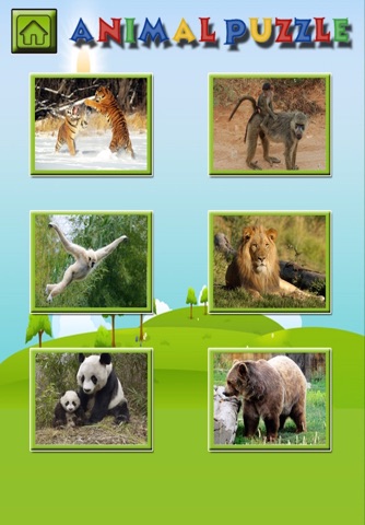 Kids Animal Puzzle - Wild animal puzzle for kids screenshot 3