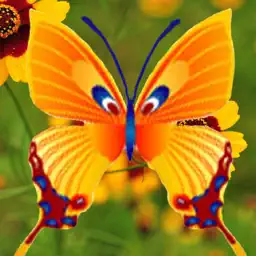 Butterfly Shoot app icon