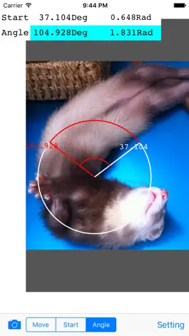 Game screenshot Photo Protractor apk