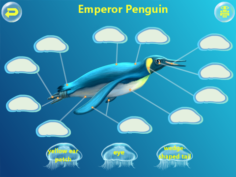 Amazing Ocean Animals- Educational Learning Apps for Kids Free iPad screenshot 4 - Book app