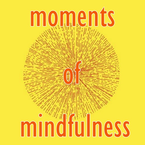 Moments of Mindfulness