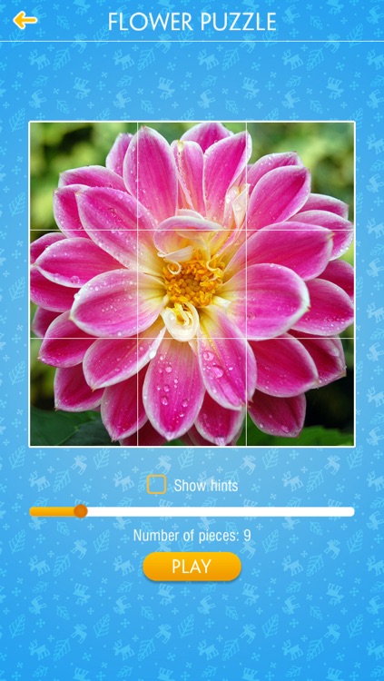 Jigsaw Puzzle - Flower