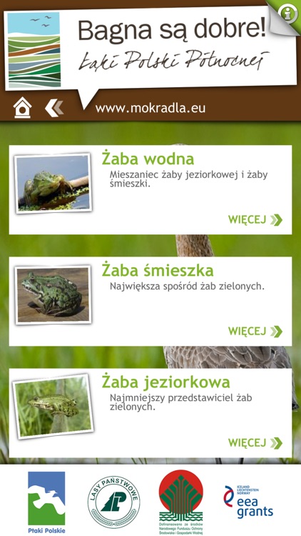 Ptaki i przyroda mokradeł