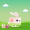 Welcome to the ***Easter Egg Bunny Runner*** Game