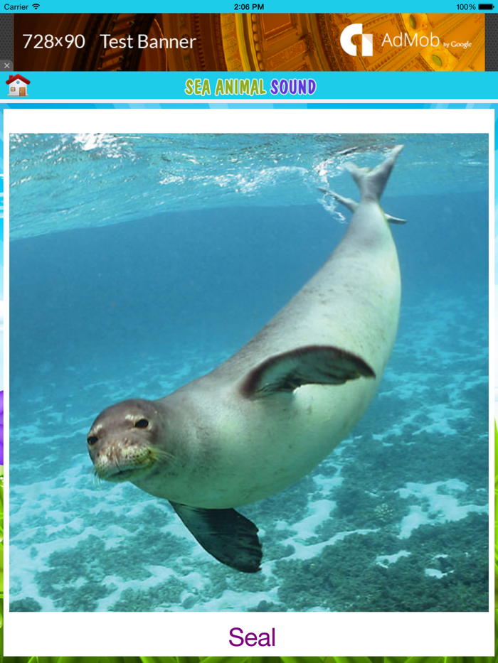 Best animal sound for kids