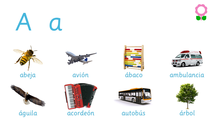 Libro de vocabulario alfabético para niños Diccionario alfabético para Jardín de infantes y preescolar