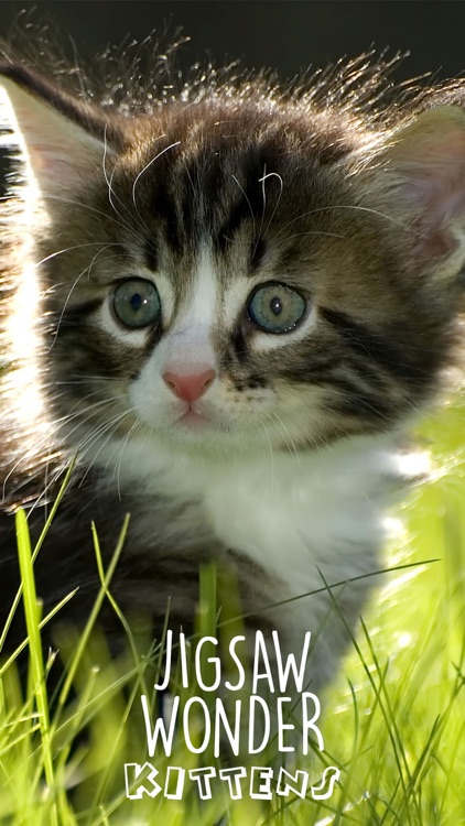 Jigsaw Wonder Kittens Puzzles for Kids screenshot-0