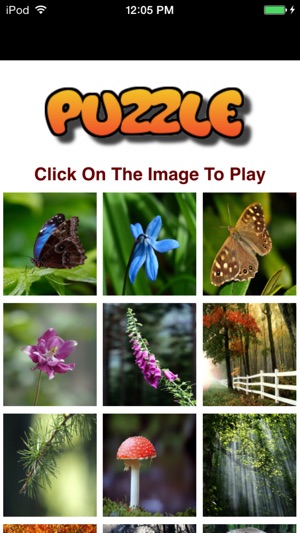 Amazing Nature Puzzle Game