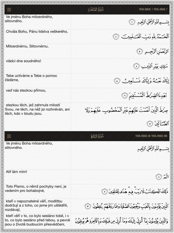 Screenshot #5 pour Quran Czech