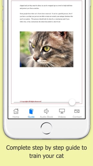 How You Can Train your Cat Free(圖2)-速報App