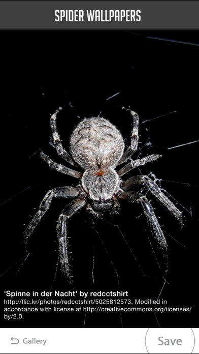 Screenshot #2 pour Spider Wallpapers
