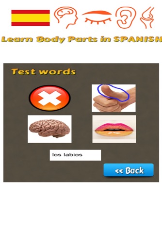 Learn Body Parts in Spanish screenshot 2