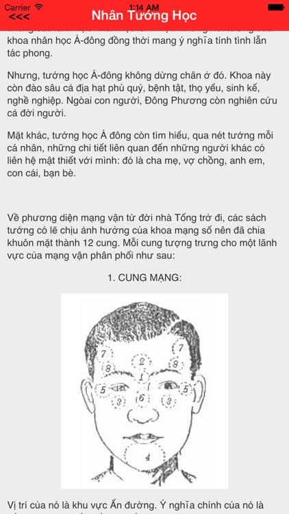 Xem Tướng Ất Mùi Free screenshot-4