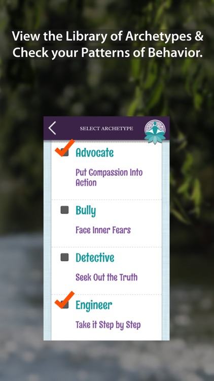 Chai Pro: Tool for MindBody Connection