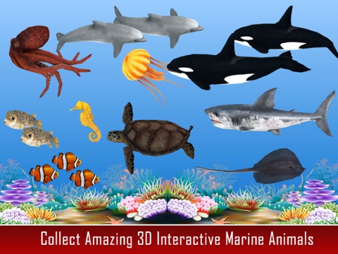 Screenshot #4 pour Animal Kingdom Grammar For Kids
