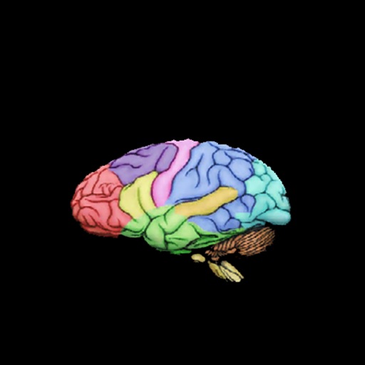 3D Brainy icon