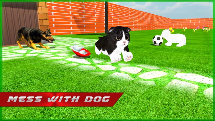 Crazy Kitty Cat Madness 3D