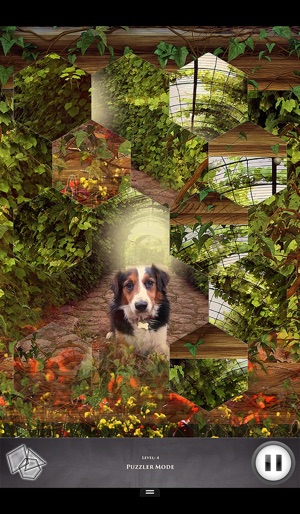 Hidden Scenes - Country Living(圖3)-速報App