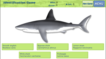 Sharks & Rays - ID Guideのおすすめ画像5
