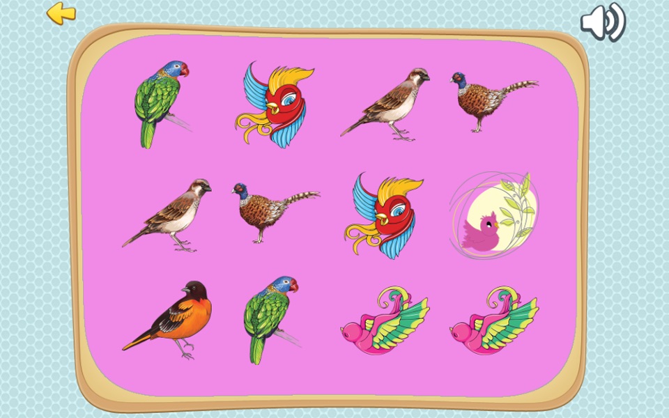 Improve Your Kids Brain With Matches Bird Cards screenshot 2