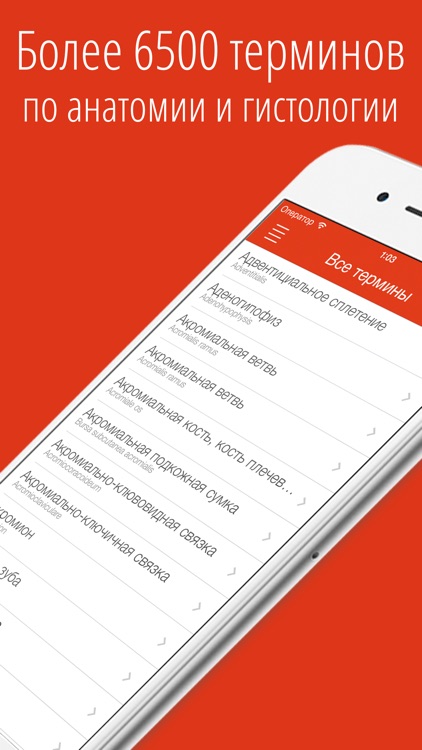 Cito! анатомия человека словарь медицинских терминов бесплатно