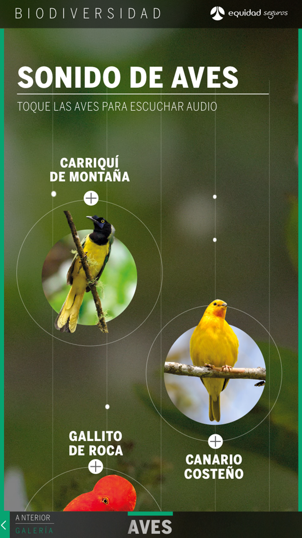 Colombia, Paraíso de la Biodiversidad.