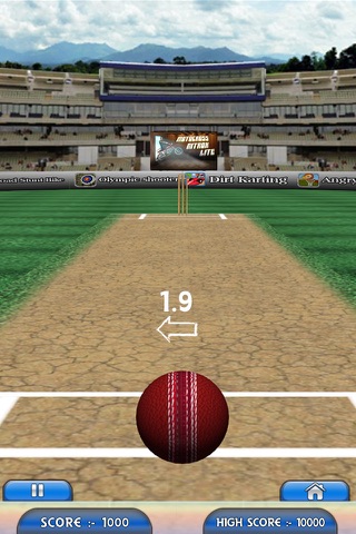 Hit The Wicket screenshot 2