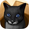 CatBall 3D - Delicious Treat