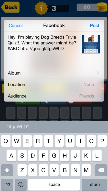 Most Popular Dog Breeds Trivia Quiz ~ American pet training 101 guide for animal lovers